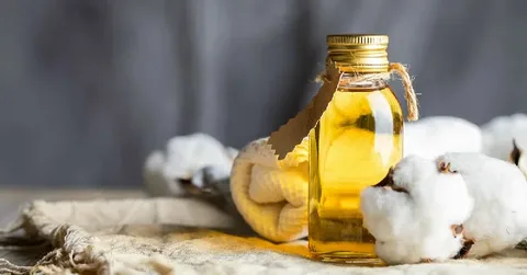 تصویر 3 از قیمت روغن کنجد ارگانیک با کیفیت ارزان + خرید عمده